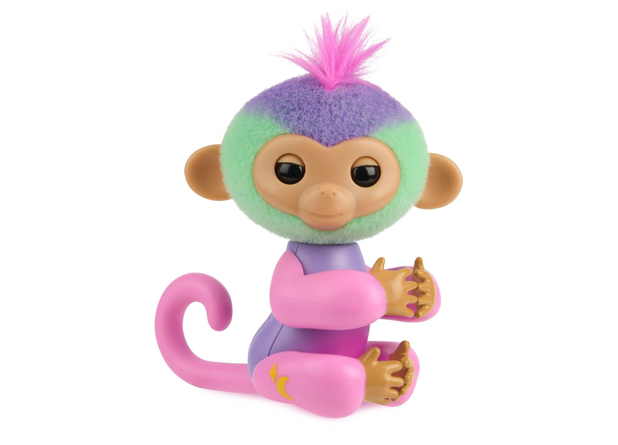 Next Product Image
