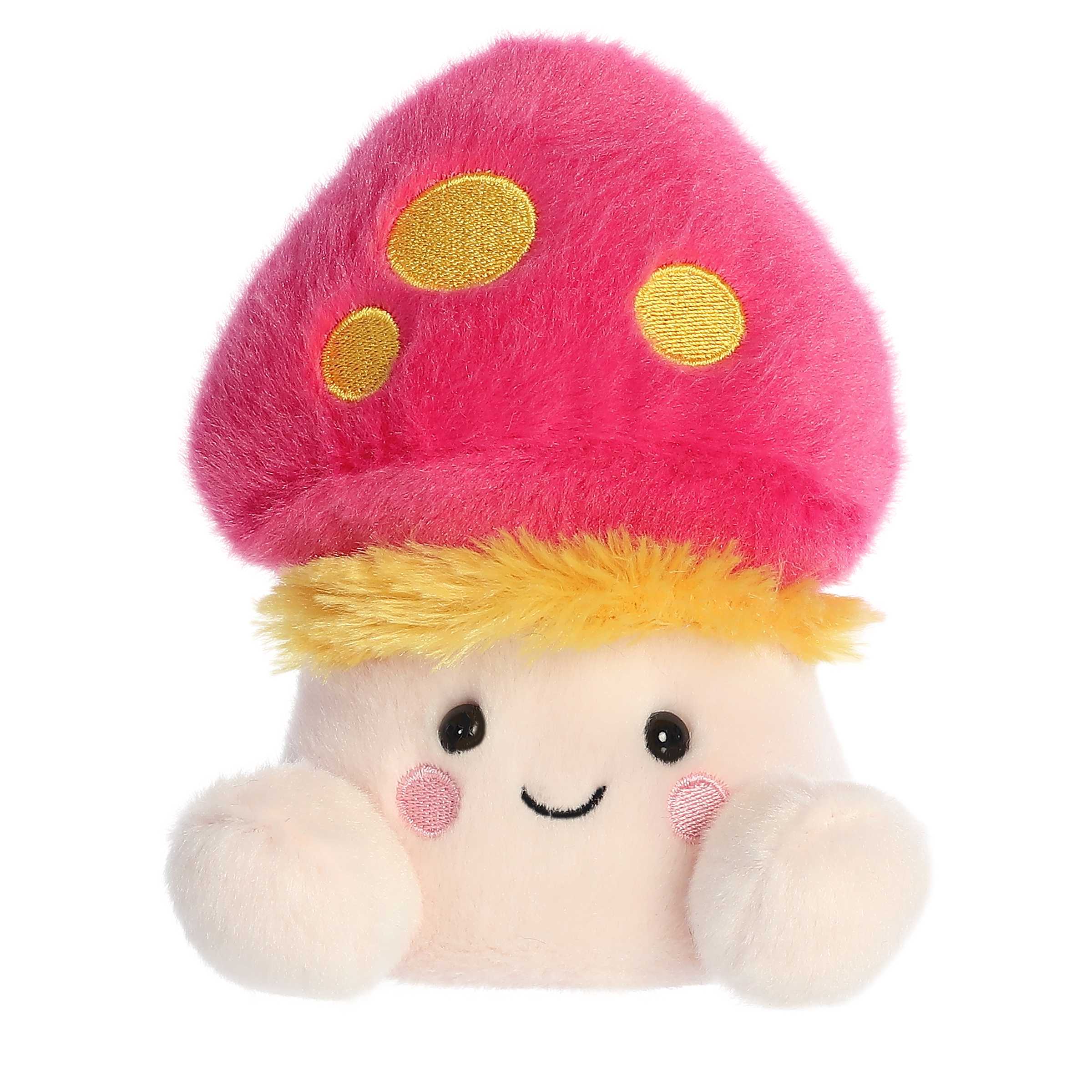 Next Product Image