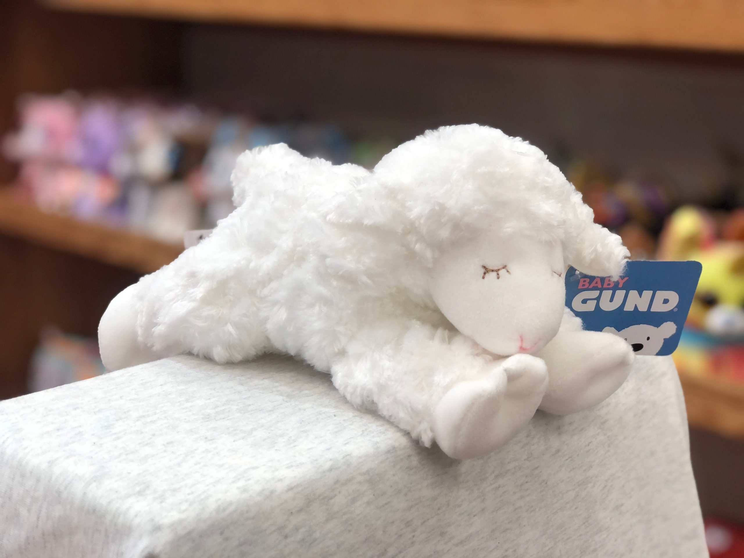 Previous Product Image