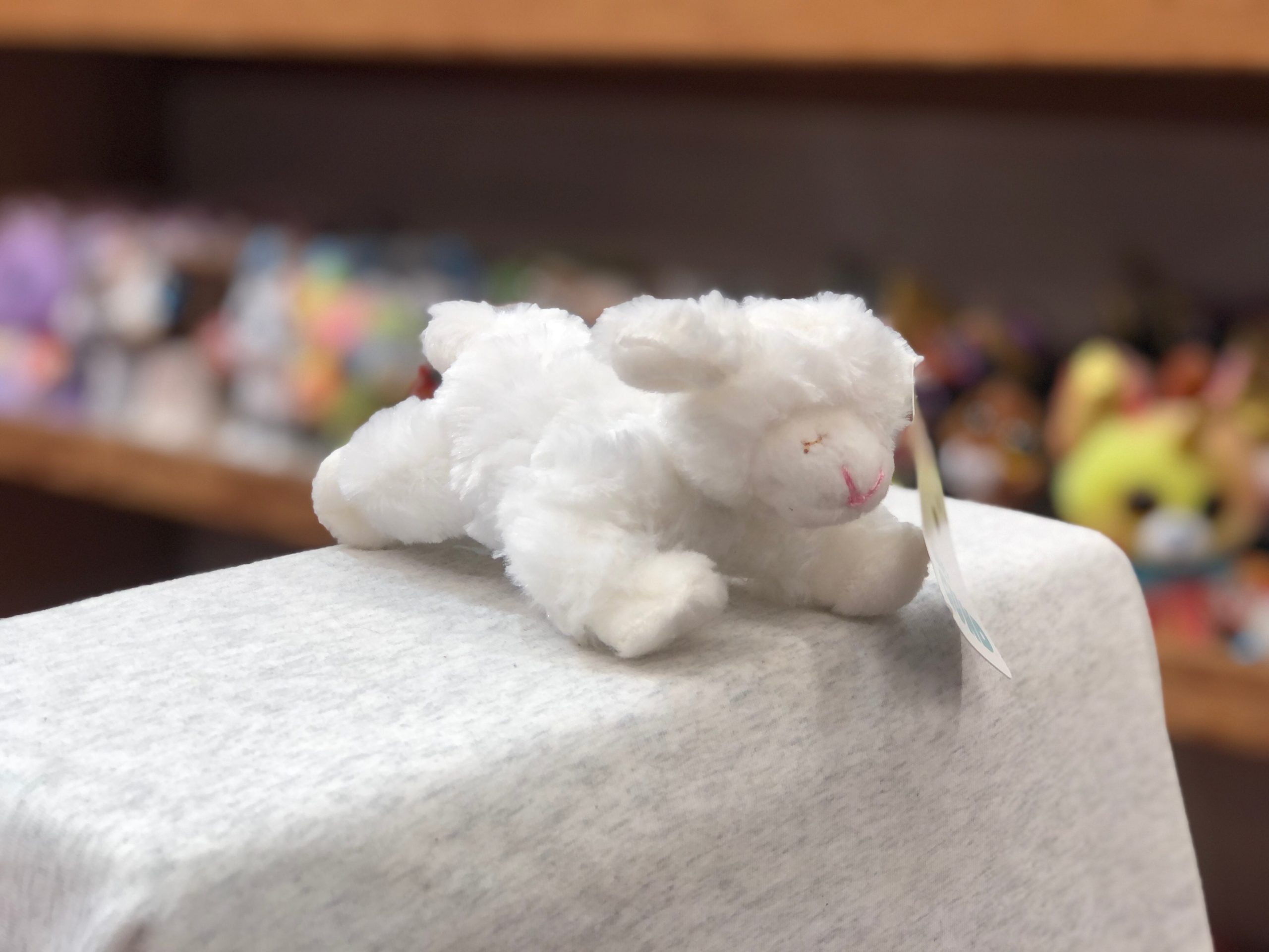 Previous Product Image