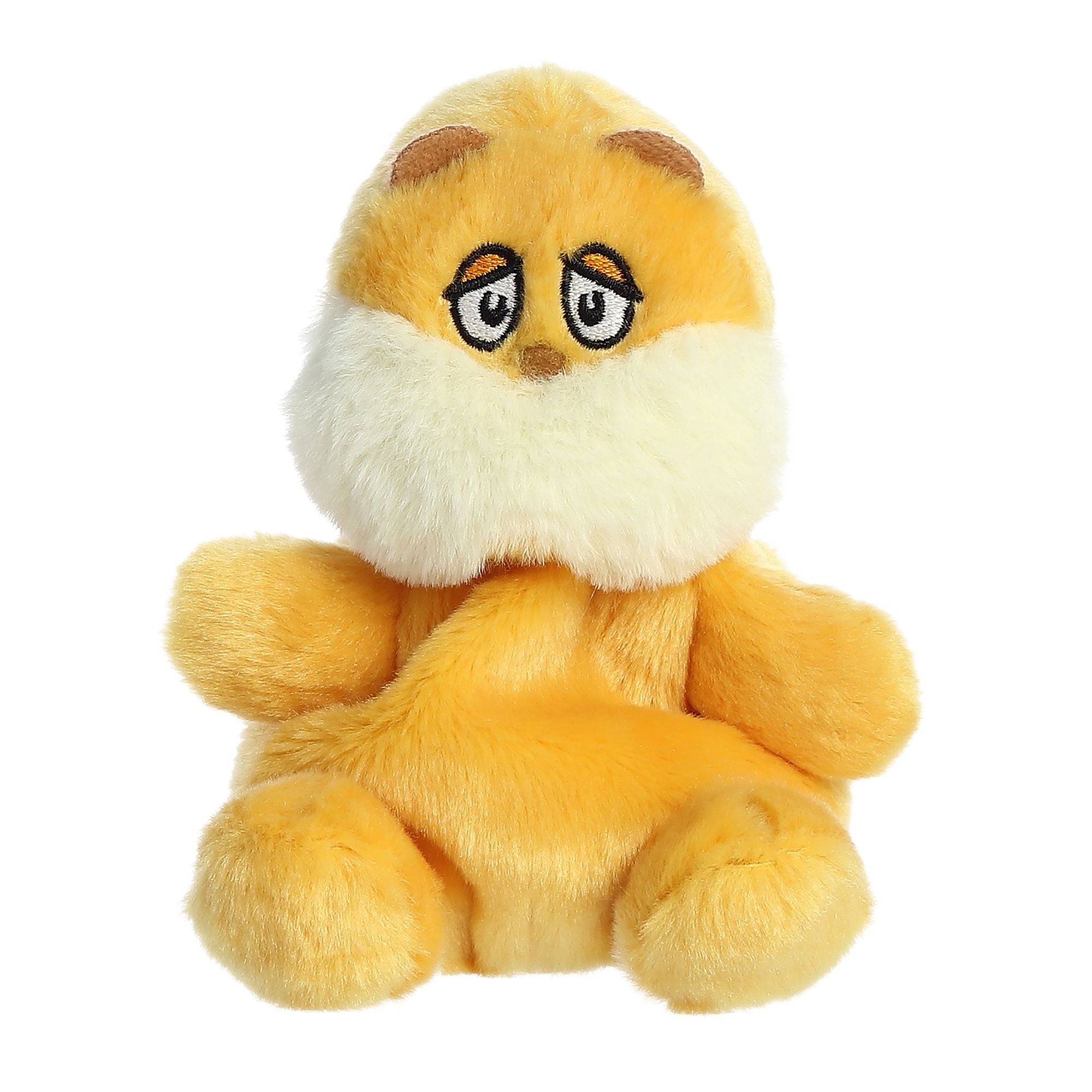 Next Product Image