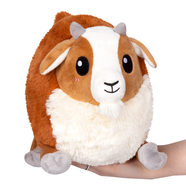 Next Product Image