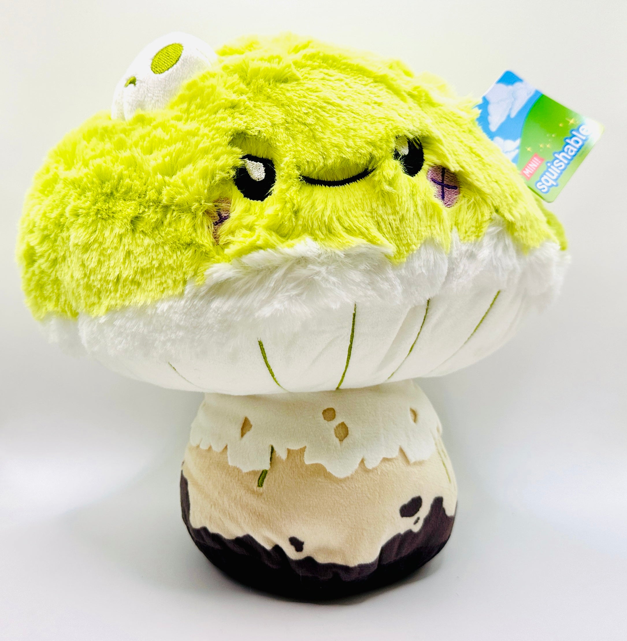 Next Product Image