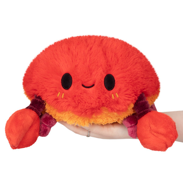 Next Product Image