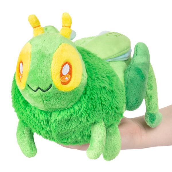Next Product Image