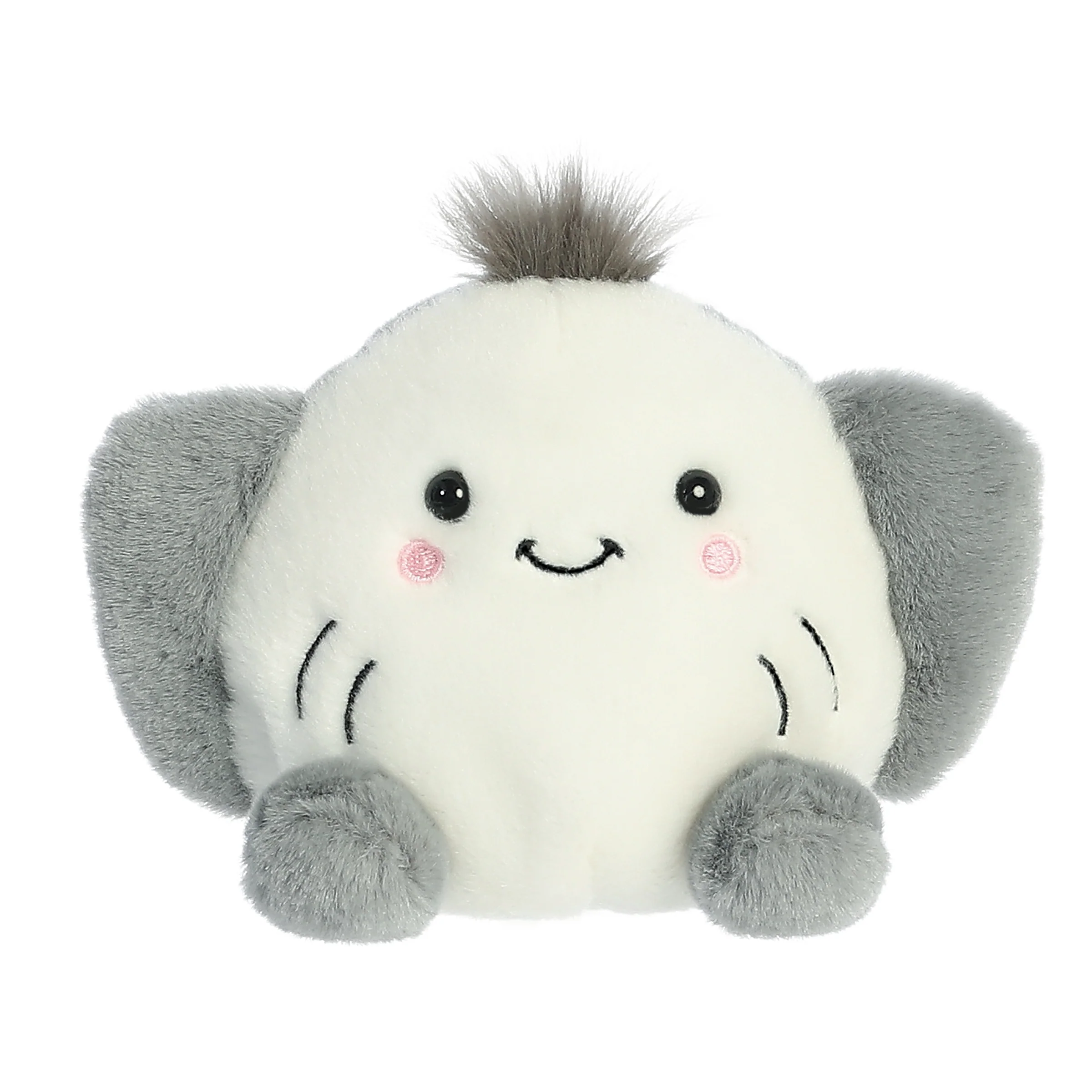 Next Product Image