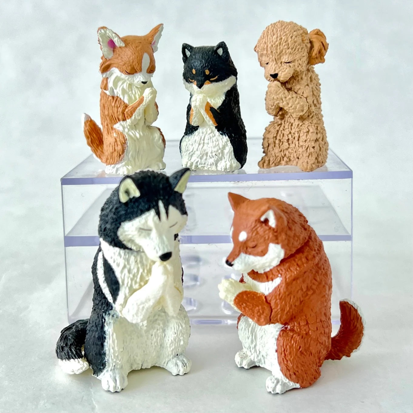 Previous Product Image