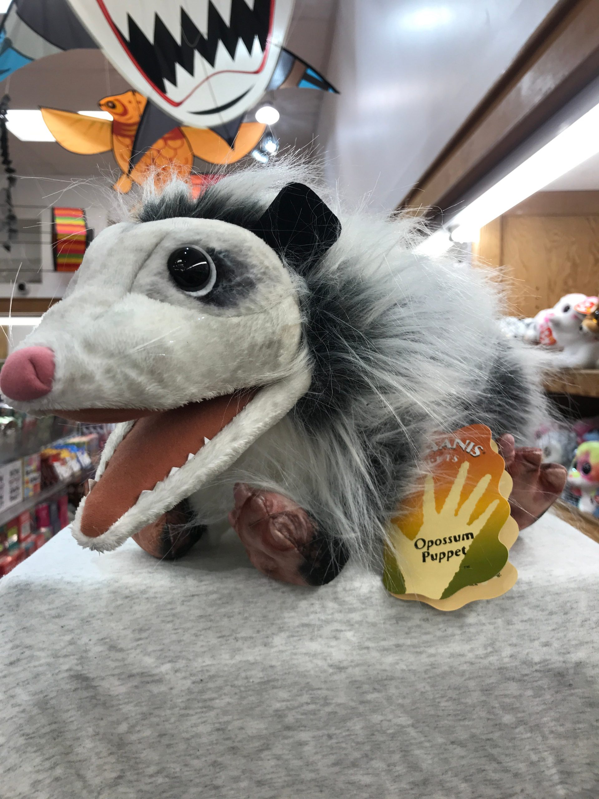 Next Product Image